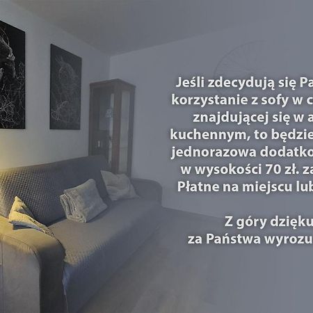 Spokojny Wypoczynek 5 오스토프 빌코폴스키 외부 사진